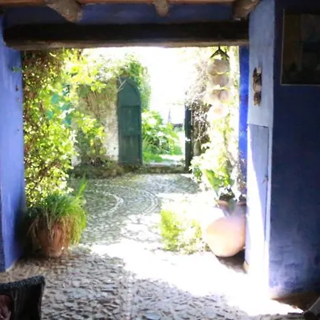 Del Castaño Castano de Robledo
